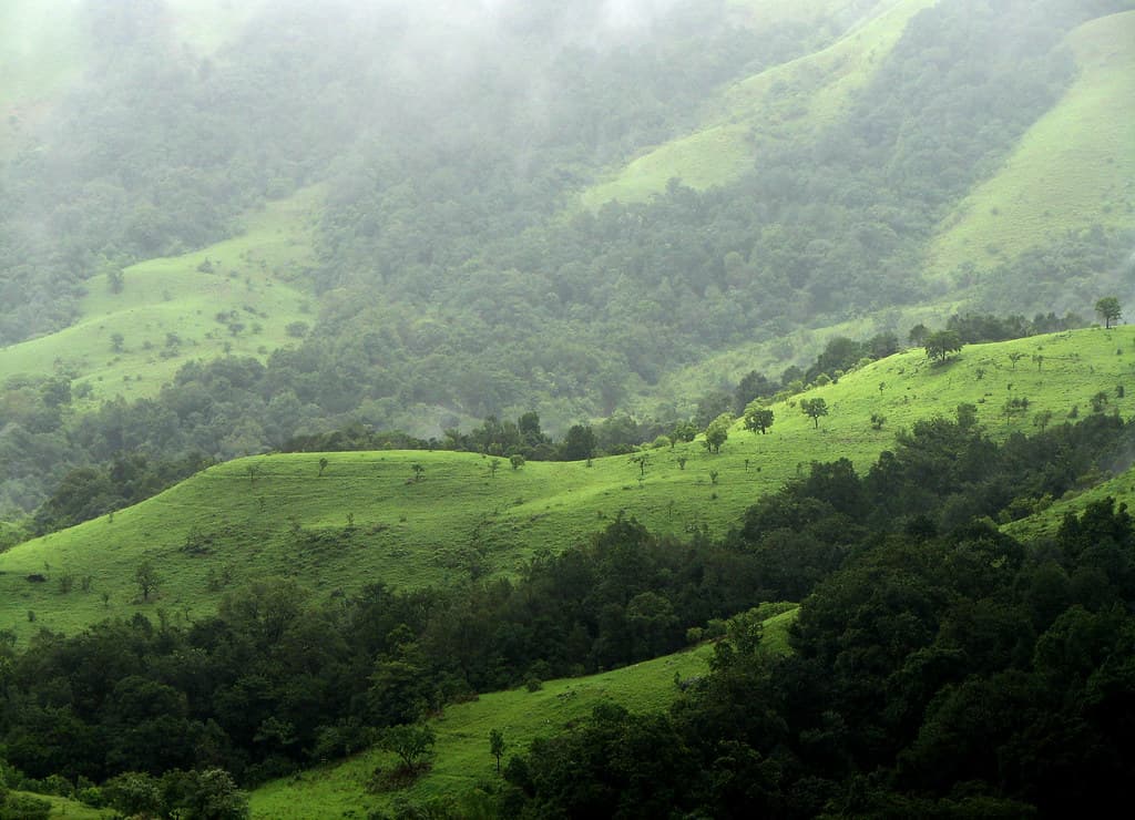 Kudremukh Trek Guide