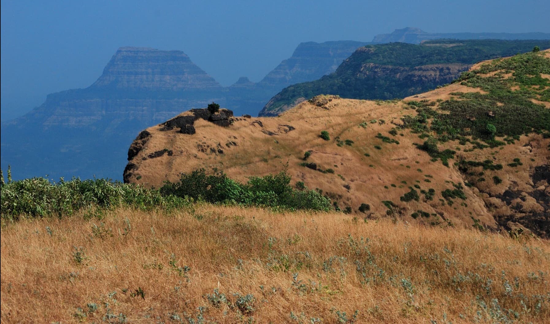 Bhimashankar Trek