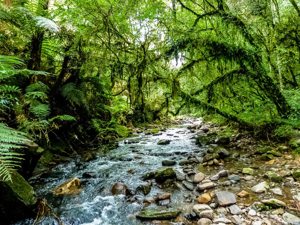 Waterfall Treks Near Mumbai (2026)