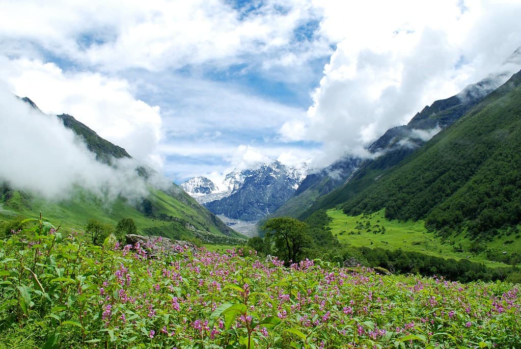 Valley of Flowers & Hemkund Sahib Trek from Mumbai