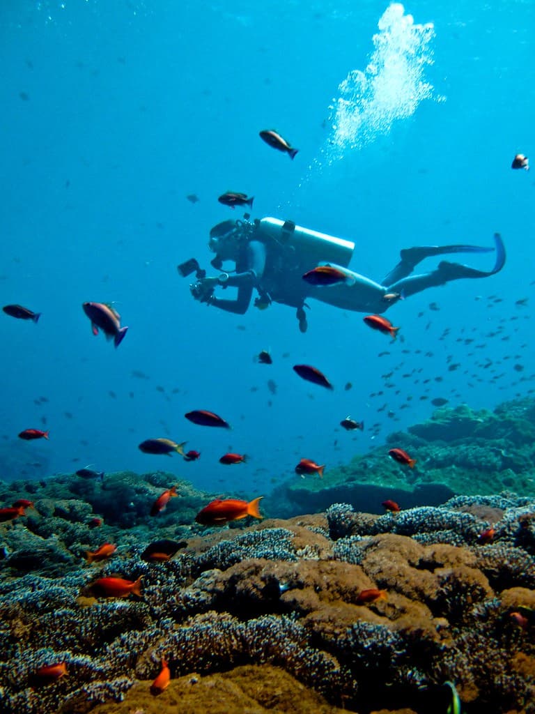 Netrani Island Scuba Diving