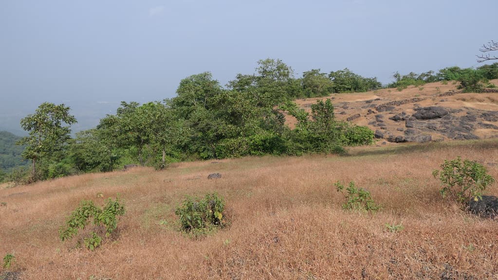 Kalavantin Durg Trek
