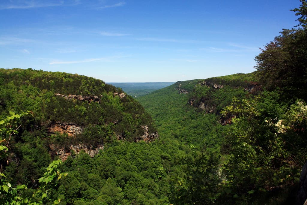 Canyon Valley Waterfall Trek