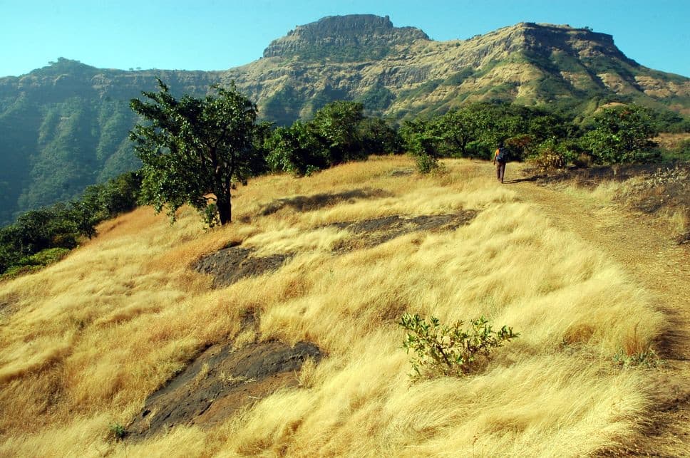 Rajgad Fort Trek