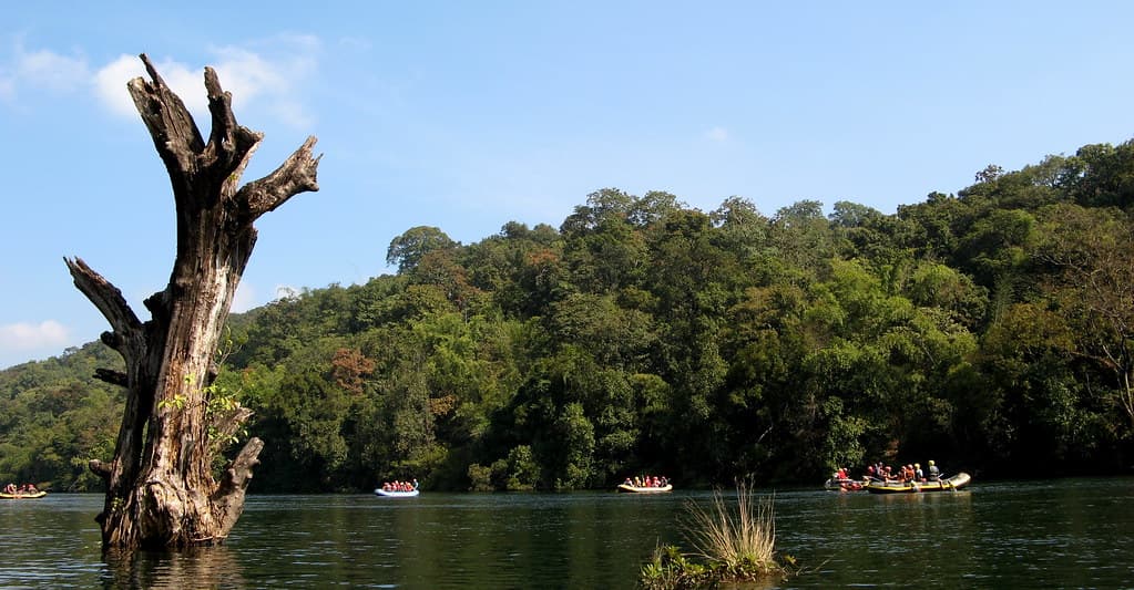 Dandeli Travel Guide (2026)