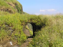 Ratangad Trek Guide
