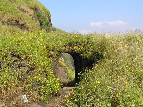 Ratangad Trek Guide